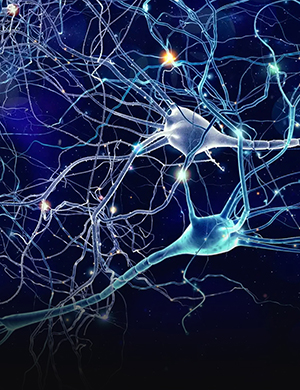 Neurobiologický<br>ústav