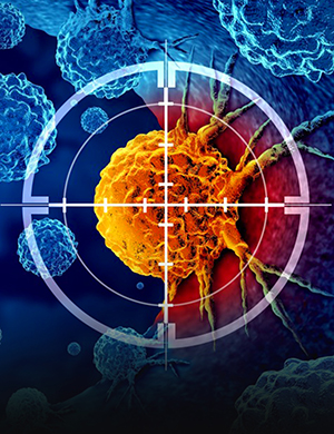 Onkológia-<br>Nanobiológia