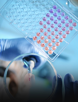 Služby pre<br>odborníkov