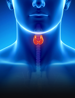 Ústav<br>experimentálnej<br>endokrinológie