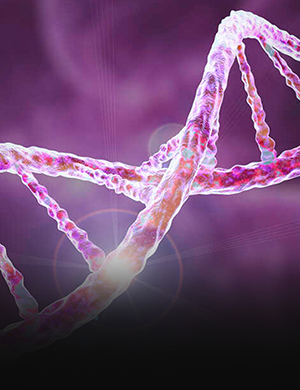 Ústav<br>klinického<br>a translačného<br>výskumu